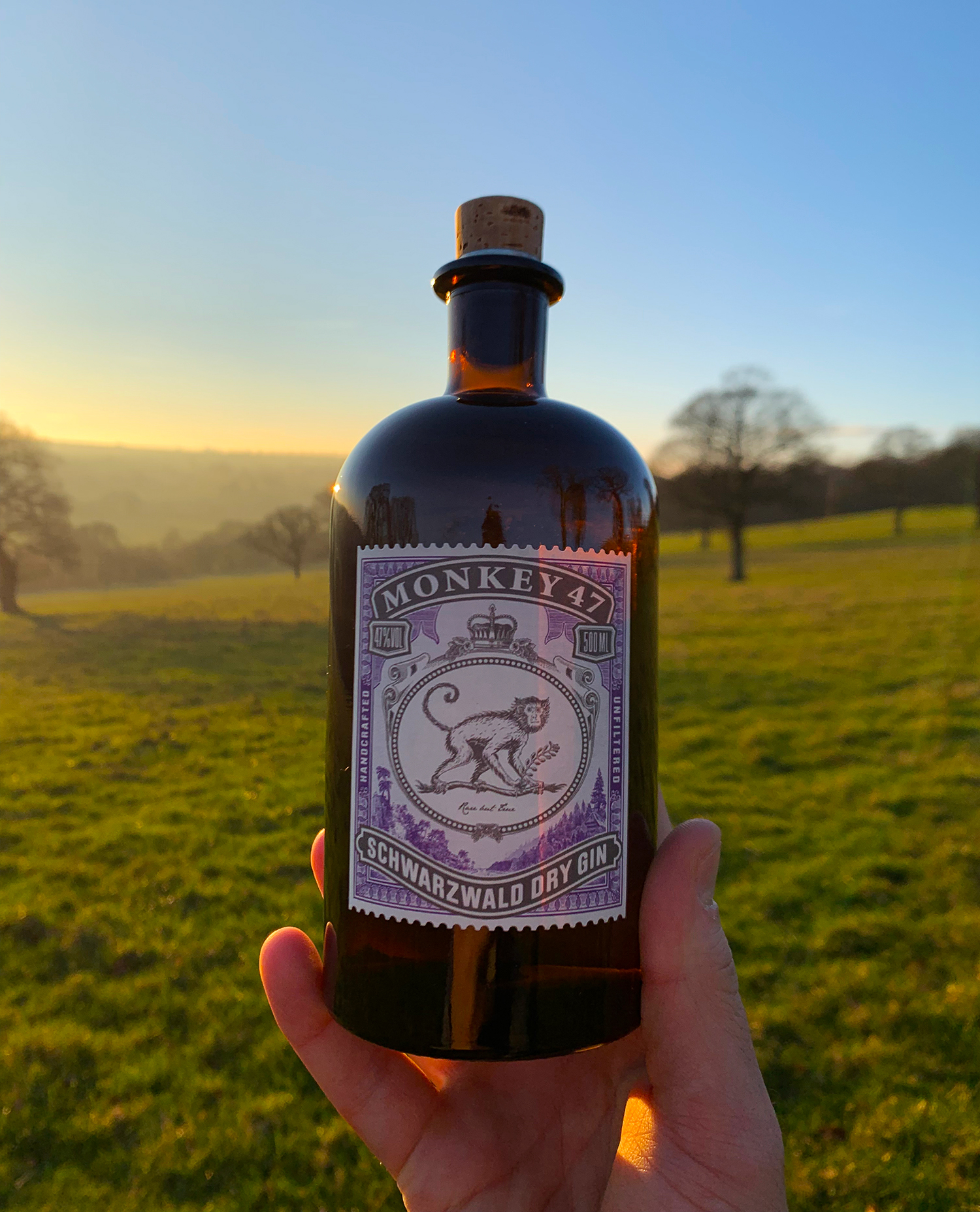 Monkey 47 Schwarzwald The - - & Review Tonicly Dry Gin Standard Gold Gin