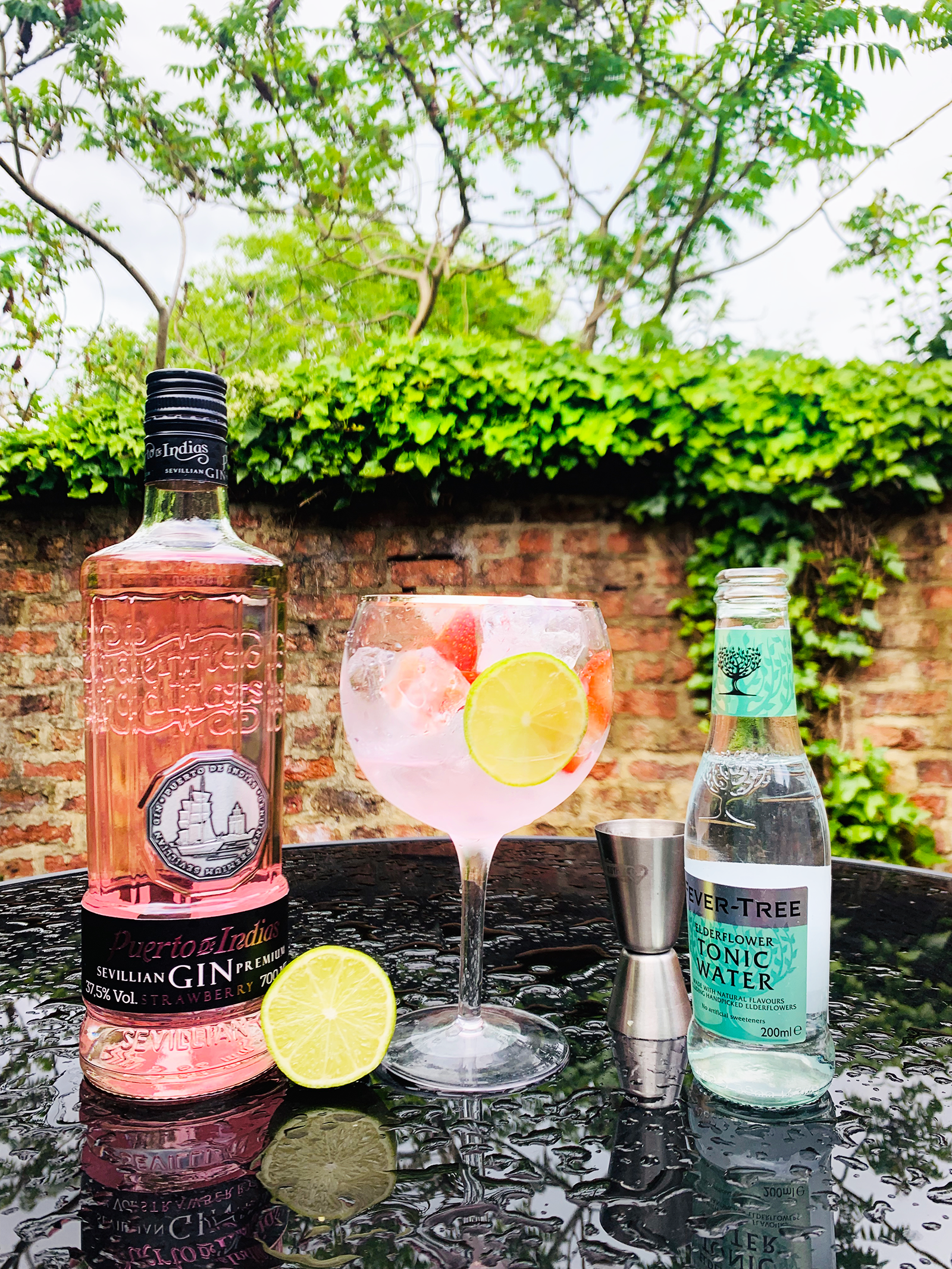 Sevillian Strawberry Gin - & Brings a Tonicly of Climates Gin Taste to the UK Warmer