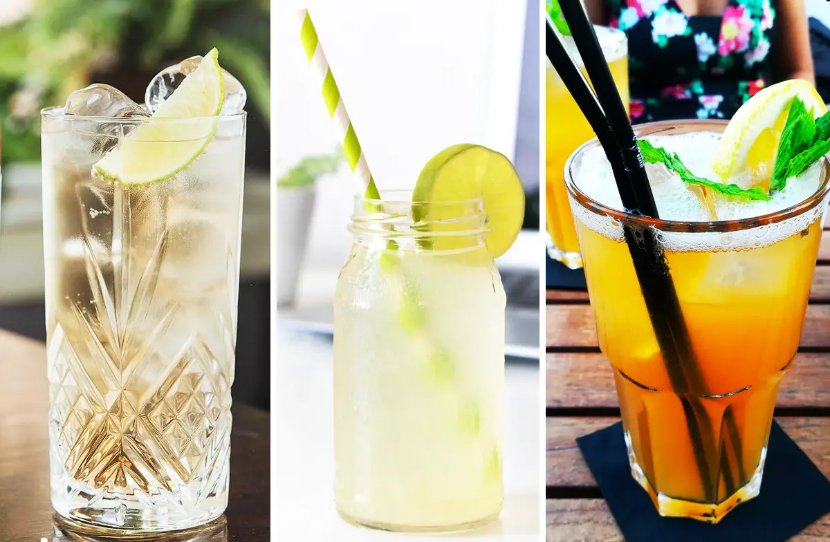 5 Enticing Gin and Ginger Ale Cocktails